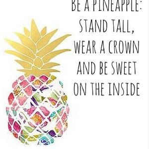 Meet your Posher, Lanair